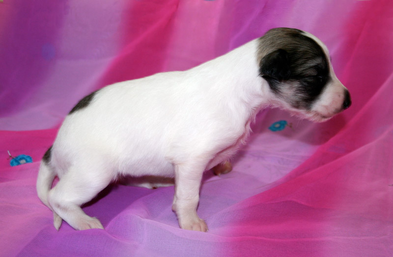 Surf Spots - Girl 2 Cute